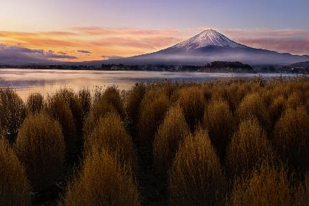 Mount Fuji at Morning