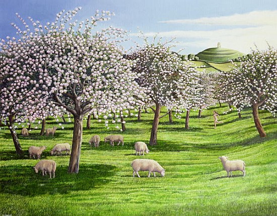 Celebration of Apple Blossom in Somerset, 2004 (oil on canvas)  a Liz  Wright