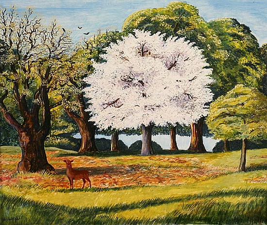 Cherry Blossom and Deer, 1995 (acrylic on paper)  a Liz  Wright