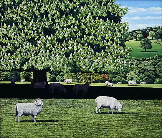 Dorset Parkland, 2007 (oil on canvas)  a Liz  Wright