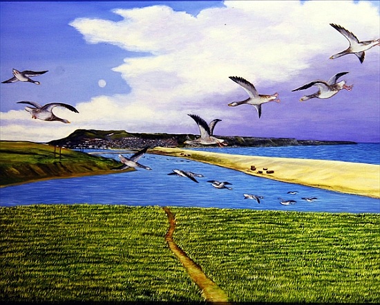 Grey Lag Geese Landing on the Fleet a Liz  Wright