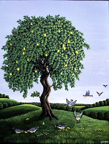 Quince Tree and Pigeons, 1983 (gouache)  a Liz  Wright