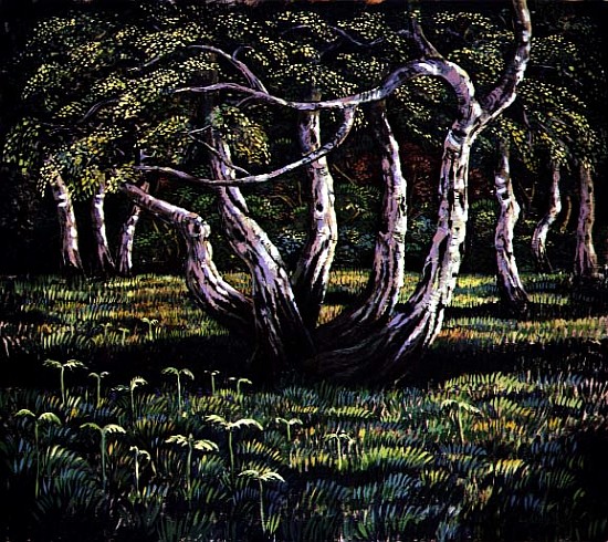 Silver Birch Trees, 1988  a Liz  Wright