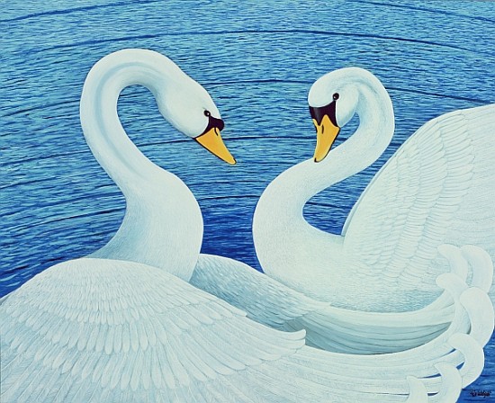 Swans, 2007 (oil on canvas)  a Liz  Wright