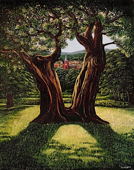 The Divided Tree, Richmond Park, 1989  a Liz  Wright