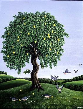 Quince Tree and Pigeons, 1983 (gouache) 