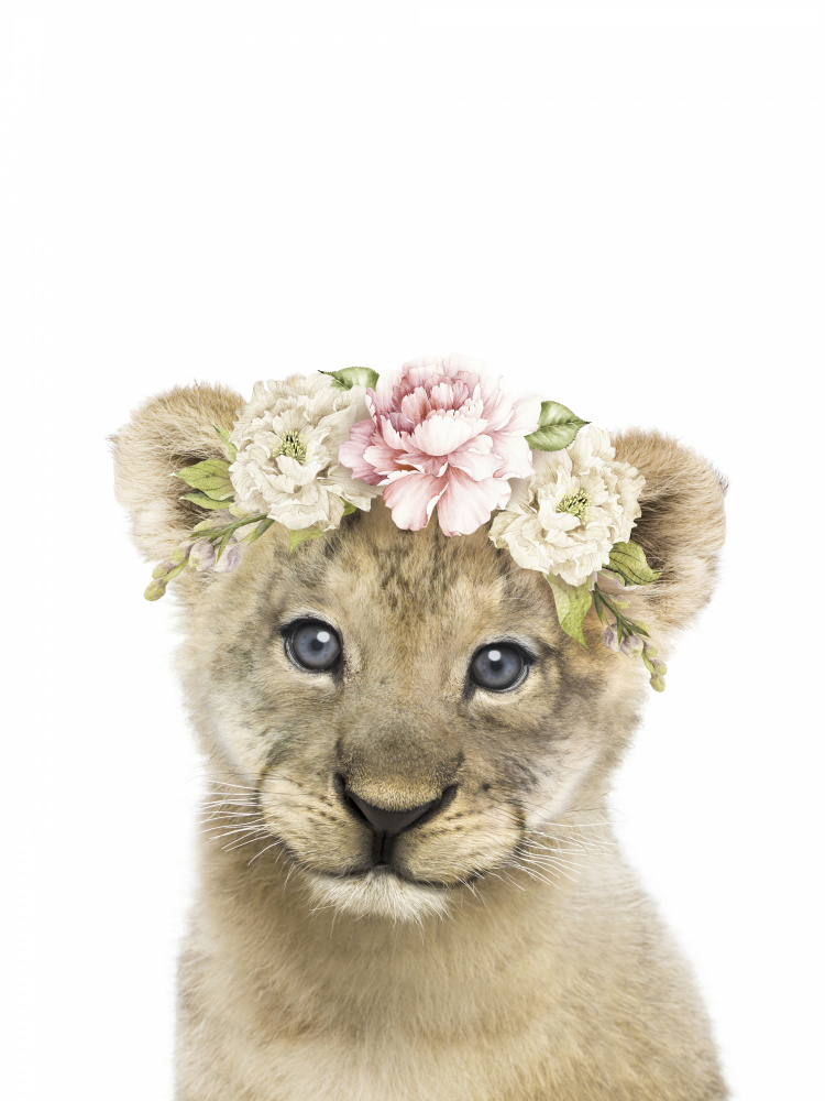 Floral Baby Lion a Lola Peacock