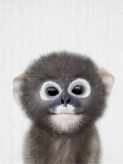 Peekaboo Baby Monkey