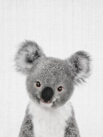 Peekaboo Baby Koala
