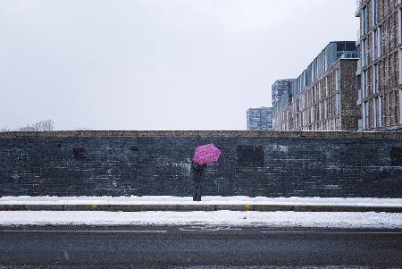 The pink umbrella