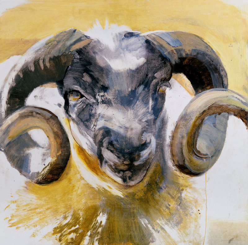 Long Horn Sheep (mixed media)  a Lou  Gibbs