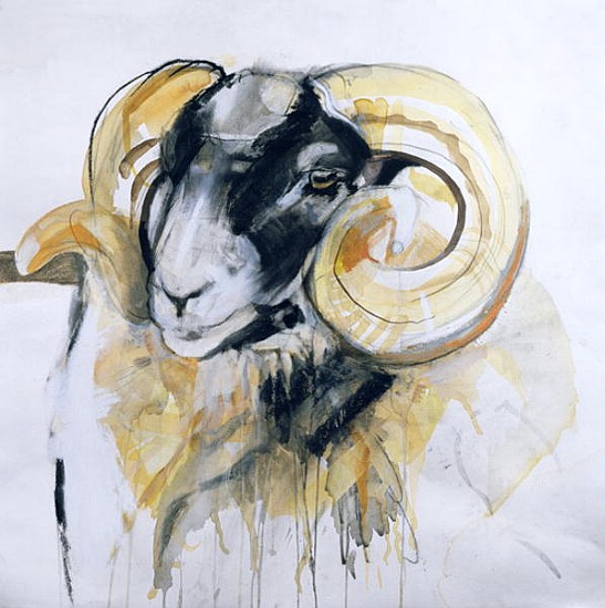 Long Horn Sheep (mixed media)  a Lou  Gibbs