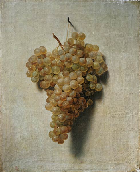 White grapes a Louis-Léopold Boilly