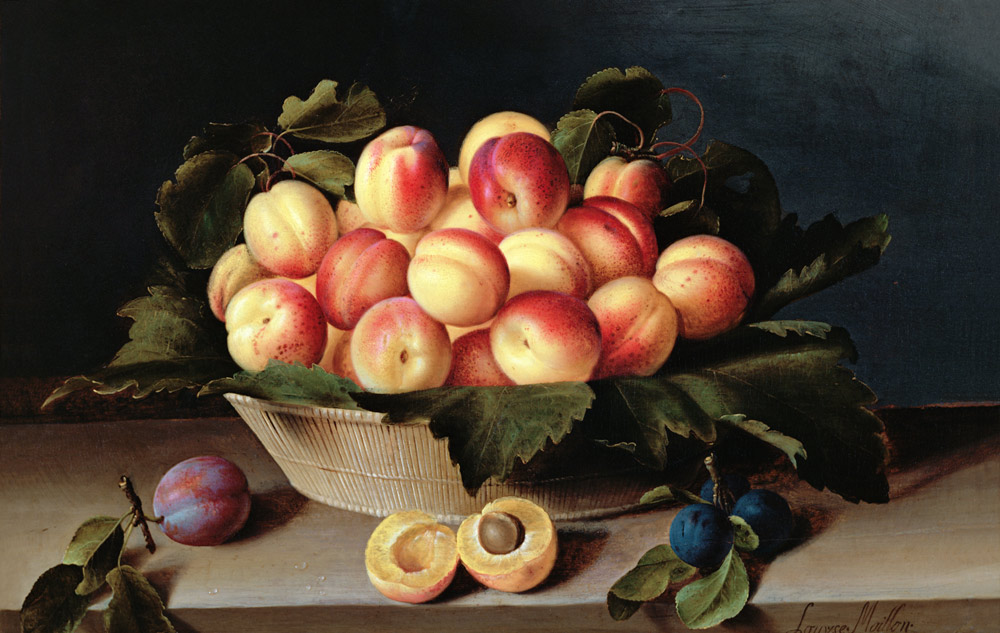 Basket of Apricots a Louise Moillon
