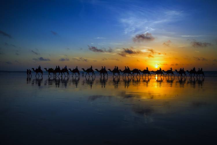 Sunset Camel Ride a Louise Wolbers