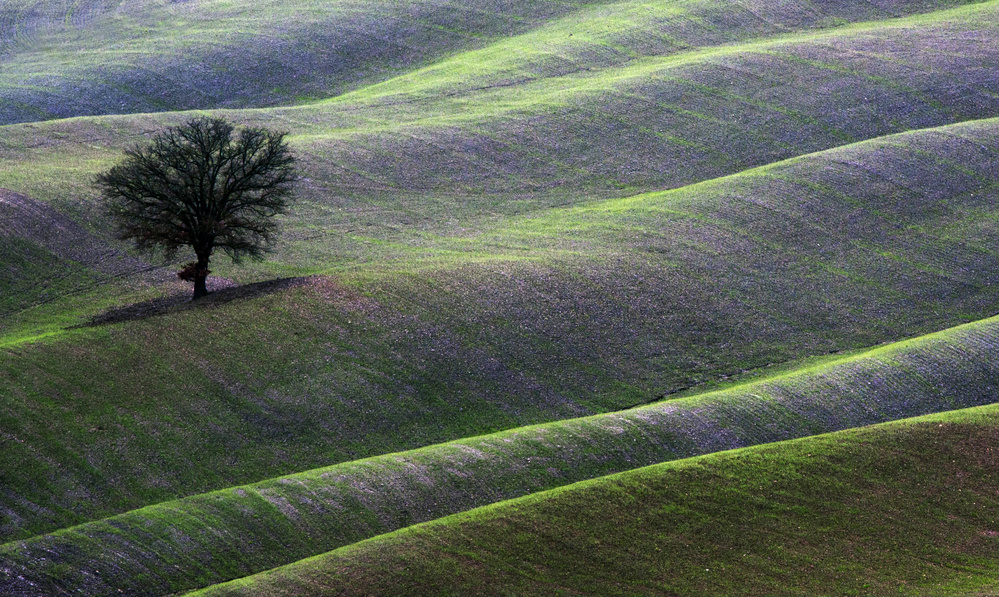 landscape a Luciano Caturegli