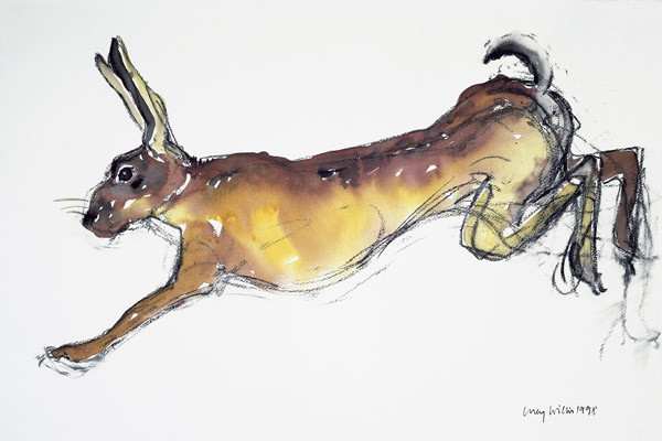 Jumping Hare (w/c & charcoal on paper)  a Lucy Willis