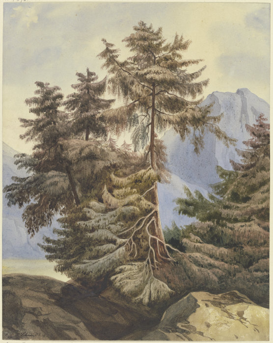 Three fir trees in the mountains a Ludwig Daniel Philipp Schmidt