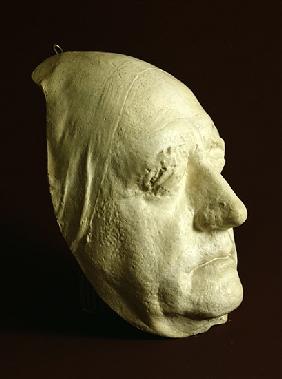 Goethe''s Mask, 1807 (plaster)