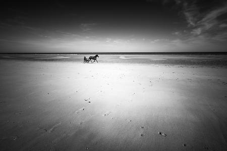 Omaha Beach Today