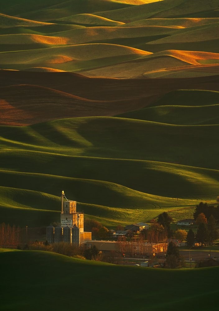 Palouse Rolling Hills a Lydia Jacobs