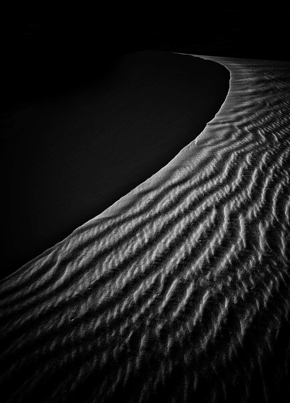 Sand Dune a Lydia Jacobs