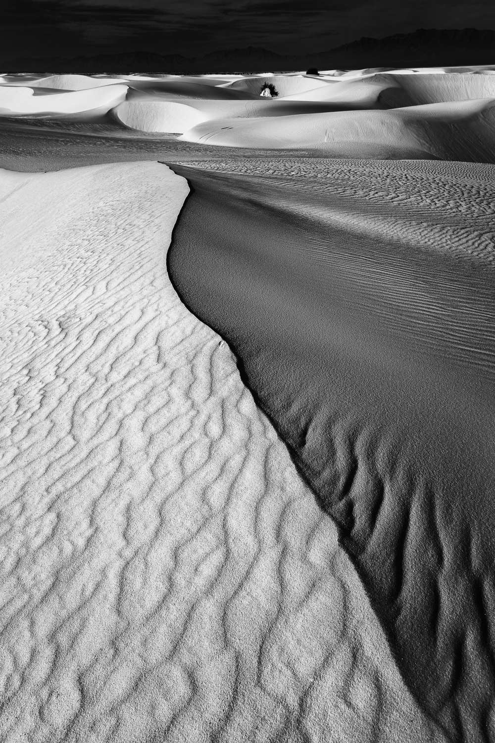 Sand Waves a Lydia Jacobs