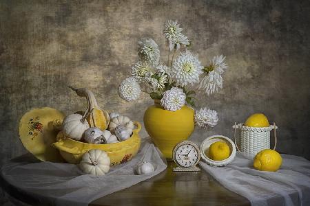 White Dahlia Flowers