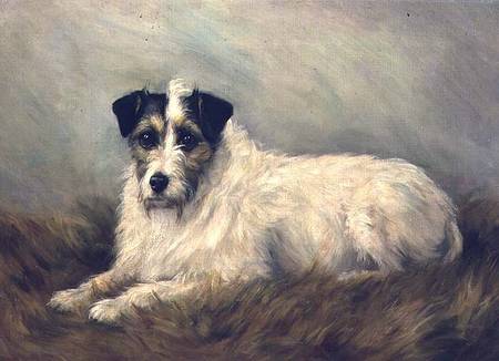 Terrier a Mabel Hastings
