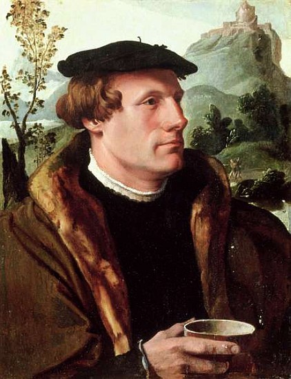 Portrait of a Gentleman a Maerten van Heemskerck