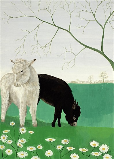 Donkeys and Daisies a  Maggie  Rowe