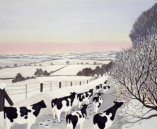 Friesians in Winter  a  Maggie  Rowe