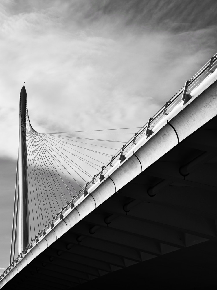 Cable-stayed Bridge a MannaFly