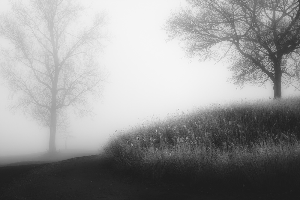 Foggy morning a Marc Huybrighs