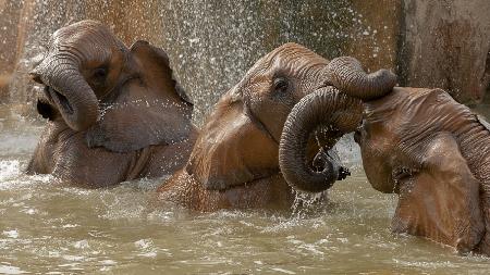 Bath time play