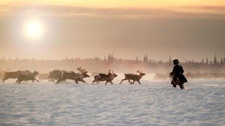 Reindeer hunter