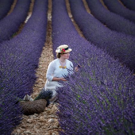 Girl and Lavender