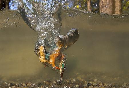 Flying underwater