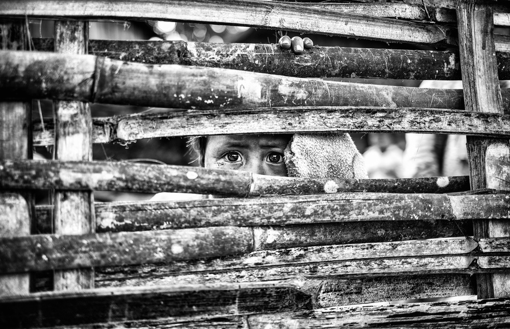 the eyes behind the fence a Marco Tagliarino