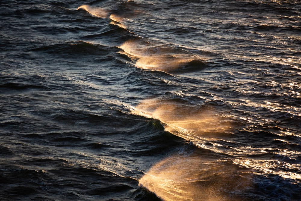 Sunkissed Waves a Mareike Böhmer