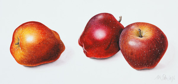 Red Apples, 1996 (w/c on paper)  a Margaret Ann  Eden