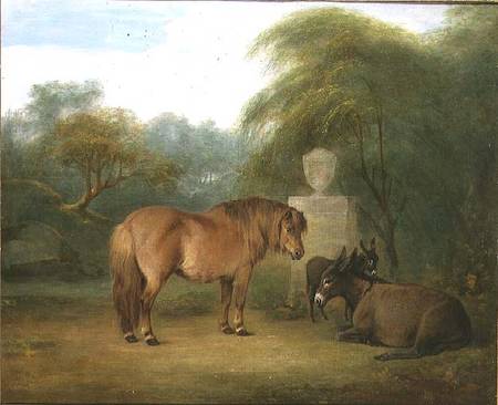 Pony and Donkeys in a Glade a Maria Spilsbury