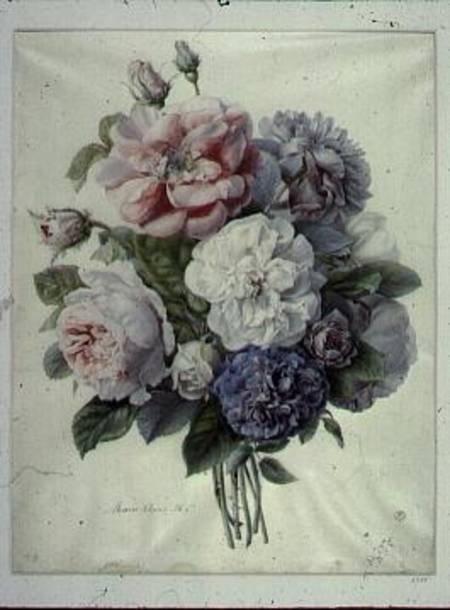 Flower Pieces a Marie-Anne