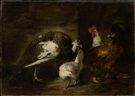 Poultry Yard with Peacock and Peahen