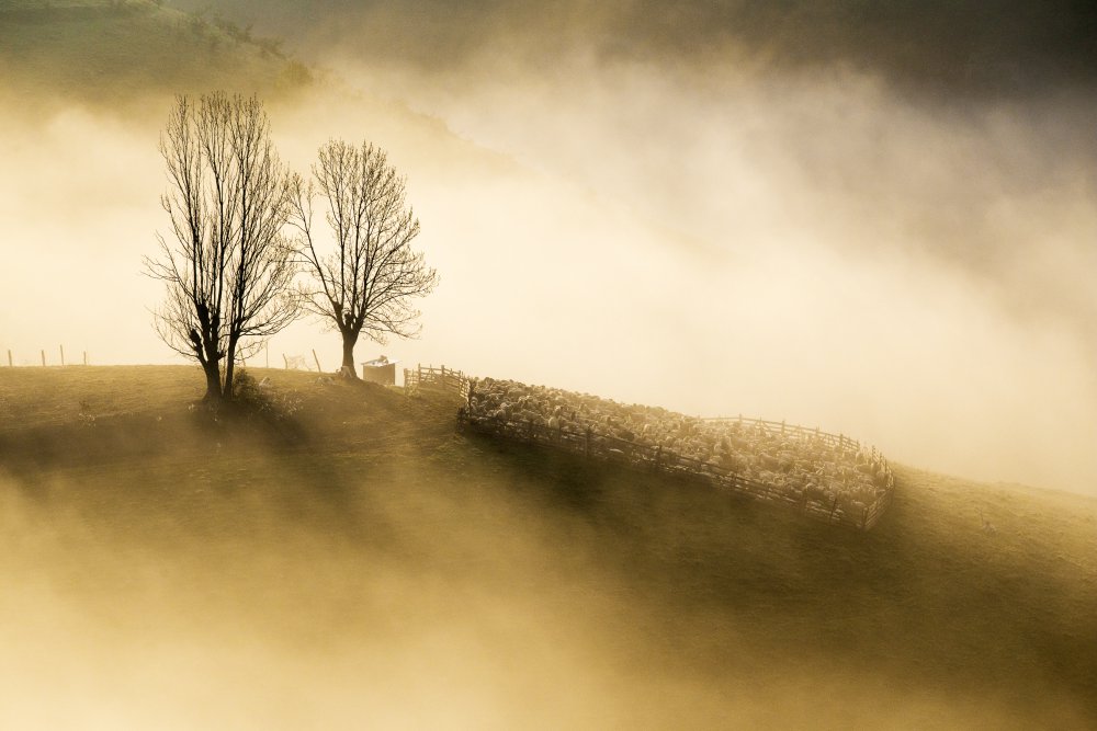 Mystic morning a marius_turc@yahoo.com