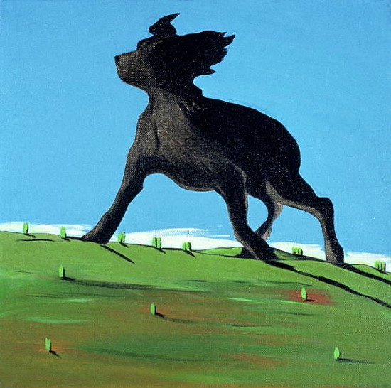 Amazing Black Dog, 2000 (acrylic on canvas)  a Marjorie  Weiss
