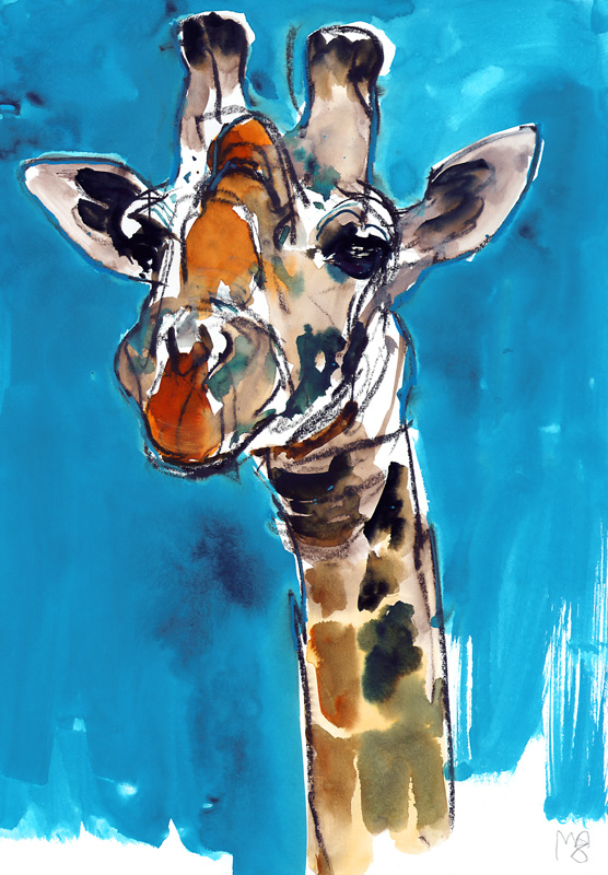 Blue Sky Giraffe a Mark  Adlington