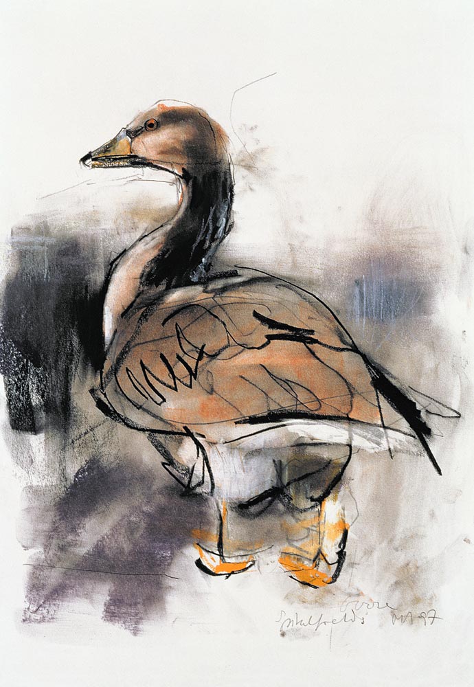 Spitalfields Goose a Mark  Adlington