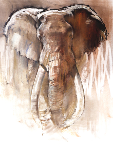 Bull Elephant a Mark  Adlington