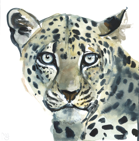 Leopard a Mark  Adlington